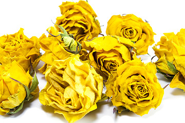 Image showing dried yellow roses