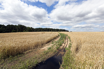 Image showing Rural paved road  