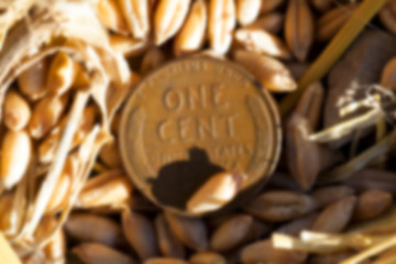 Image showing coin in the straw 