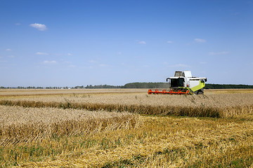 Image showing Harvester in the field 