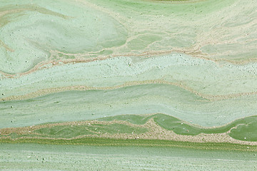 Image showing green swamp, close-up  