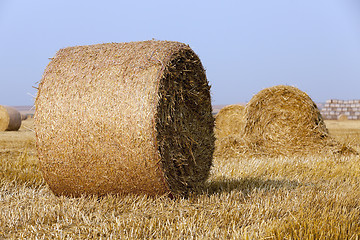 Image showing stack of straw in the field  