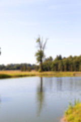 Image showing moorland, summer time 