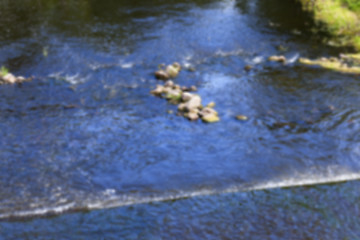 Image showing moorland, summer time 