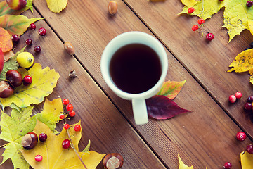 Image showing close up of tea cup on table with autumn leaves