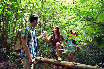 Image showing group of smiling friends with backpacks hiking