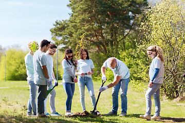 Image showing group of volunteers planting tree in park