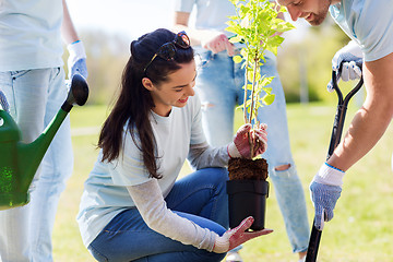 Image showing group of volunteers planting tree in park