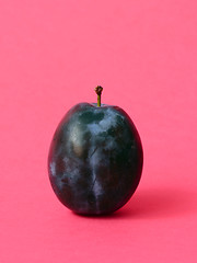 Image showing Single ripe plum