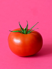 Image showing One ripe tomato