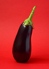 Image showing One fresh eggplant