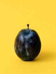 Image showing Single ripe plum