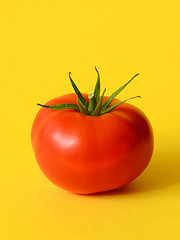 Image showing One ripe tomato