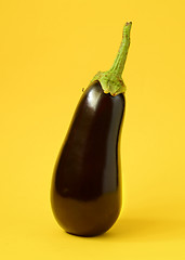 Image showing One fresh eggplant