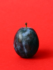 Image showing Single ripe plum