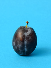 Image showing Single ripe plum