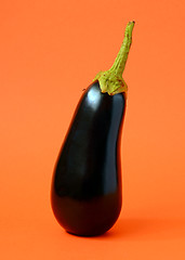 Image showing One fresh eggplant