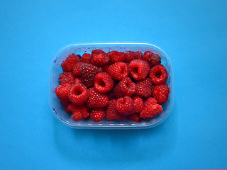 Image showing Fresh raspberries in plastic box