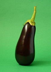 Image showing One fresh eggplant