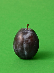 Image showing Single ripe plum