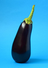 Image showing One fresh eggplant