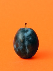 Image showing Single ripe plum