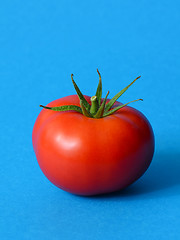 Image showing One ripe tomato