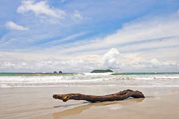 Image showing Log at the Beach