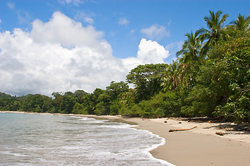 Image showing Tropical Beach