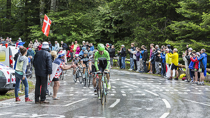 Image showing Group of Cyclists - Tour de France 2014