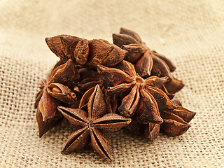 Image showing Anise