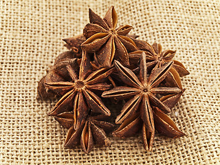 Image showing Anise