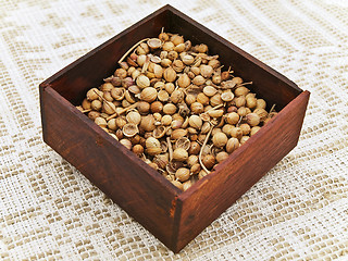 Image showing Coriander Seeds 