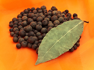 Image showing Allspice