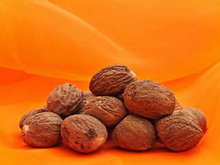 Image showing Nutmegs