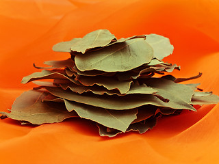 Image showing Bay Leaves