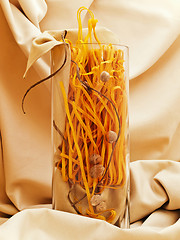 Image showing Chili Pasta