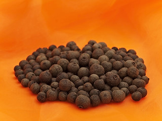 Image showing Allspice