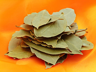 Image showing Bay Leaves