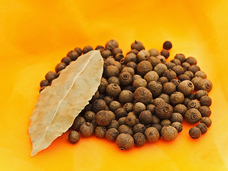 Image showing Allspice