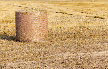 Image showing haystacks in a field of straw 