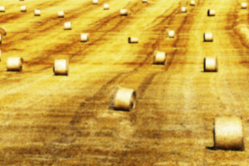 Image showing stack of straw in the field 