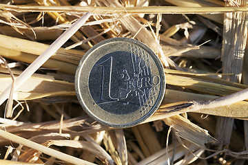 Image showing coin in the straw 