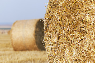 Image showing stack of straw in the field 