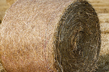 Image showing haystacks in a field of straw  