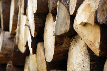 Image showing wood piles