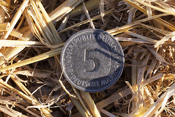 Image showing coin in the straw  