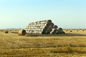 Image showing haystacks in a field of straw 
