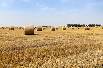 Image showing haystacks straw. field 