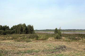 Image showing moorland, summer time  